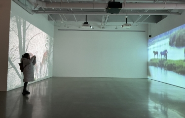Gallery hop art Tour in Chelsea