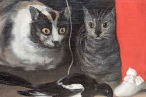 Cats were symbols of power, curiousity and health through thousands of years