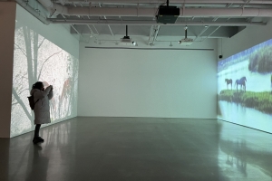 Gallery hop art Tour in Chelsea